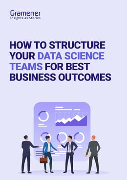 DS team structure cover