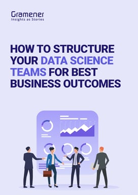 Whitepaper-Structuring Data Science Teams